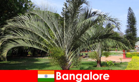 Μπανγκαλόρ ευχάριστο κλίμα όλο το χρόνο για κάθε αλλοδαπό αξίζει ένα ταξίδι
