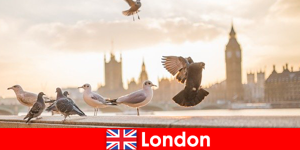 Σημεία ενδιαφέροντος στο Λονδίνο για διεθνείς επισκέπτες