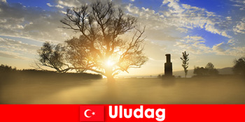 Οι παραθεριστές πεζοπορίας απολαμβάνουν την όμορφη φύση στο Uludag της Τουρκίας