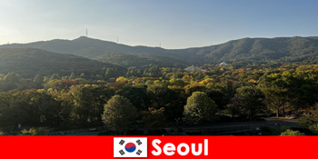 Δημοφιλή ομαδικά πακέτα διακοπών στη Σεούλ Νότια Κορέα
