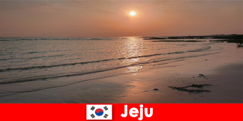 Ονειρικός προορισμός για γάμους και καλεσμένους από το εξωτερικό στο Jeju Της Νότιας Κορέας