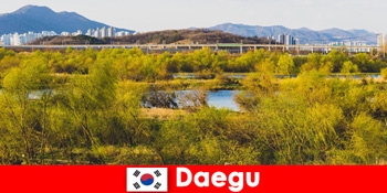 Κορυφαίες συμβουλές για ανεξάρτητους ταξιδιώτες – Daegu, Νότια Κορέα