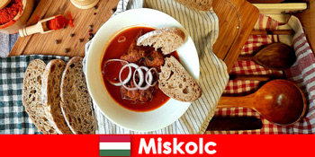 Οι επισκέπτες απολαμβάνουν τοποθεσίες και πολιτισμό στο Miskolc της Ουγγαρίας
